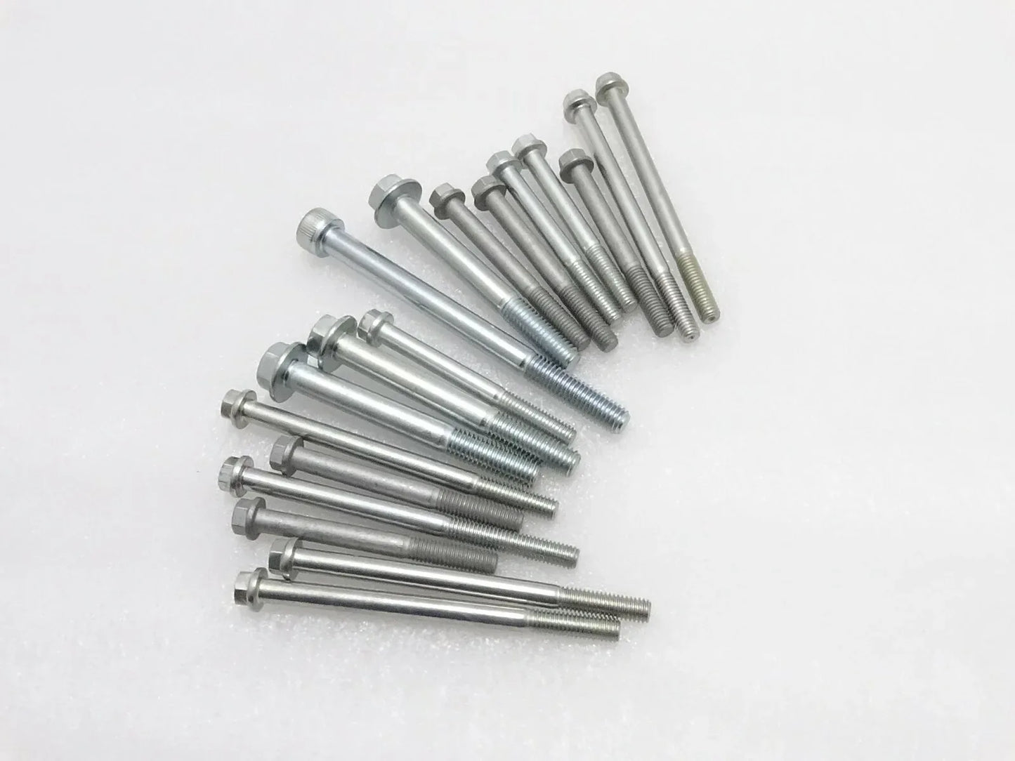 Royal Enfield Himalayan 411cc Crankcase Fasteners Kit - StellerGear