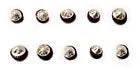 Sujok Therapy Magnets 20 Byol 20 Star 10 Bar Slim Jimmy,Sujok Rings - StellerGear