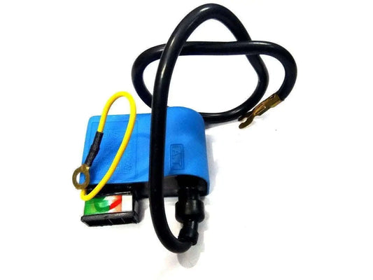 Ignition CDI electronic unit with blue module and black wiring harness