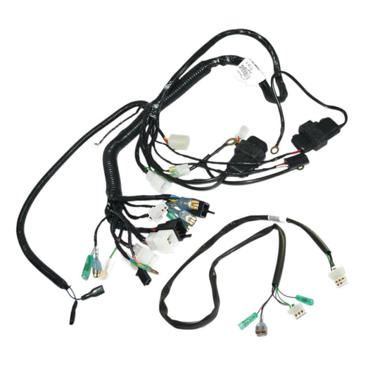 For Royal Enfield Electra 350 Kick Start Main Wiring & Taillight Harness Kit