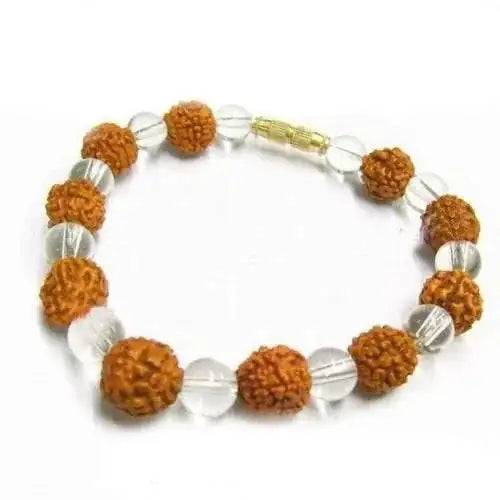 Rudraksh acupressure magnetic bracelet with brown faux-rudraksh beads and clear spacers
