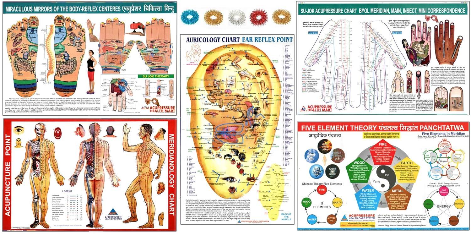 Acupressure, Acupuncture, Sujok, Five Element, Ear Charts (Set of 5)+ 5 Rings Free Ship - StellerGear