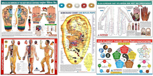 Acupuncture charts featuring ear reflex points, body reflex centers, and five element theory for holistic therapy
