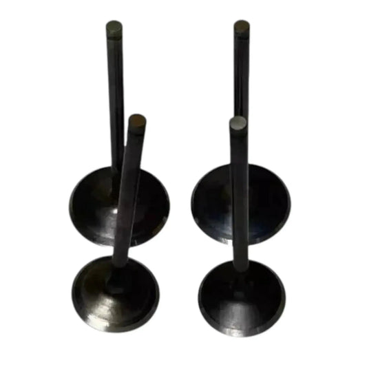 Intake and exhaust valve kit, two black valve discs with stems, metal construction