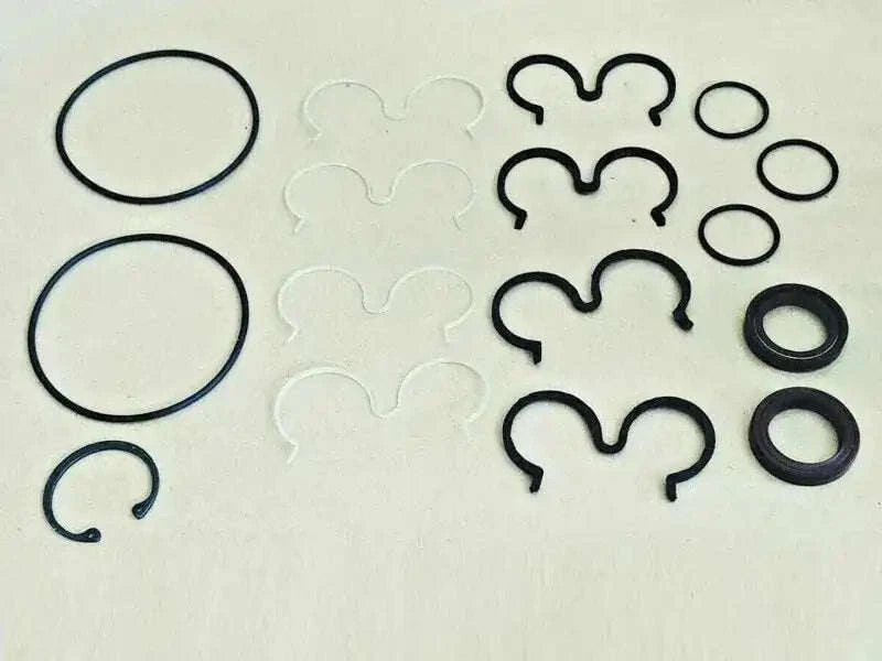 Hydraulic pump seal kit with black O-rings and molded seals, assorted pieces