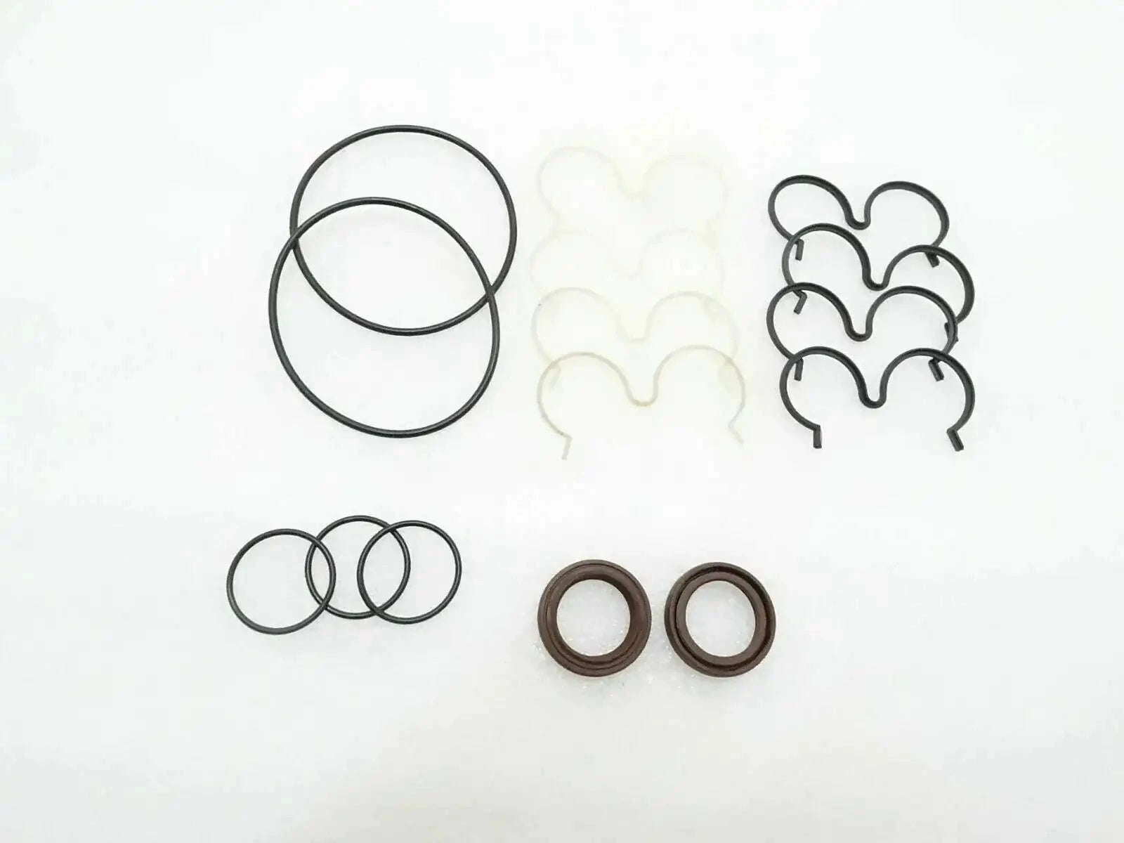 Hydraulic pump seal kit with black O-rings and gray lip seals