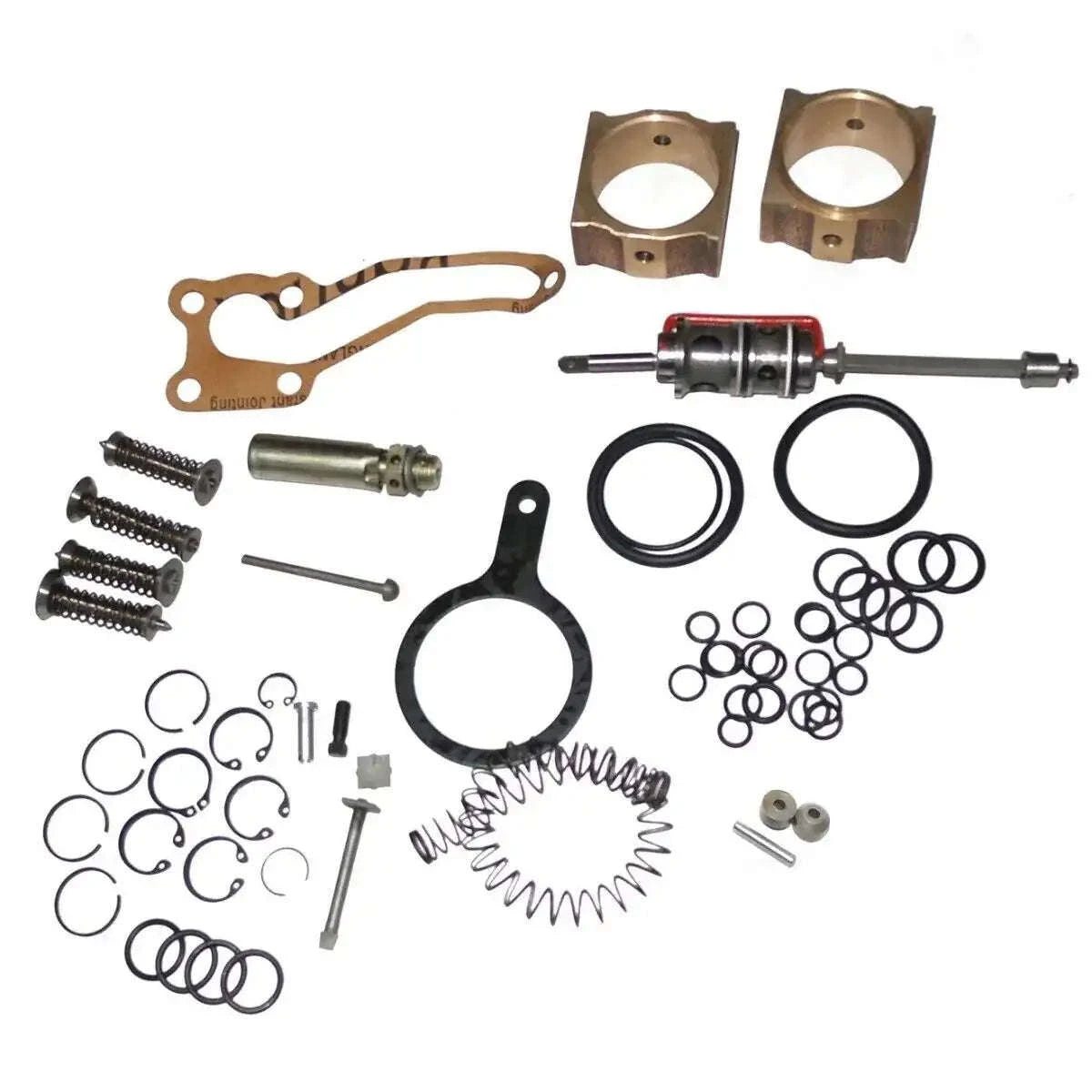 Hydraulic repair kit parts set with seal rings, springs, valves, and bolts