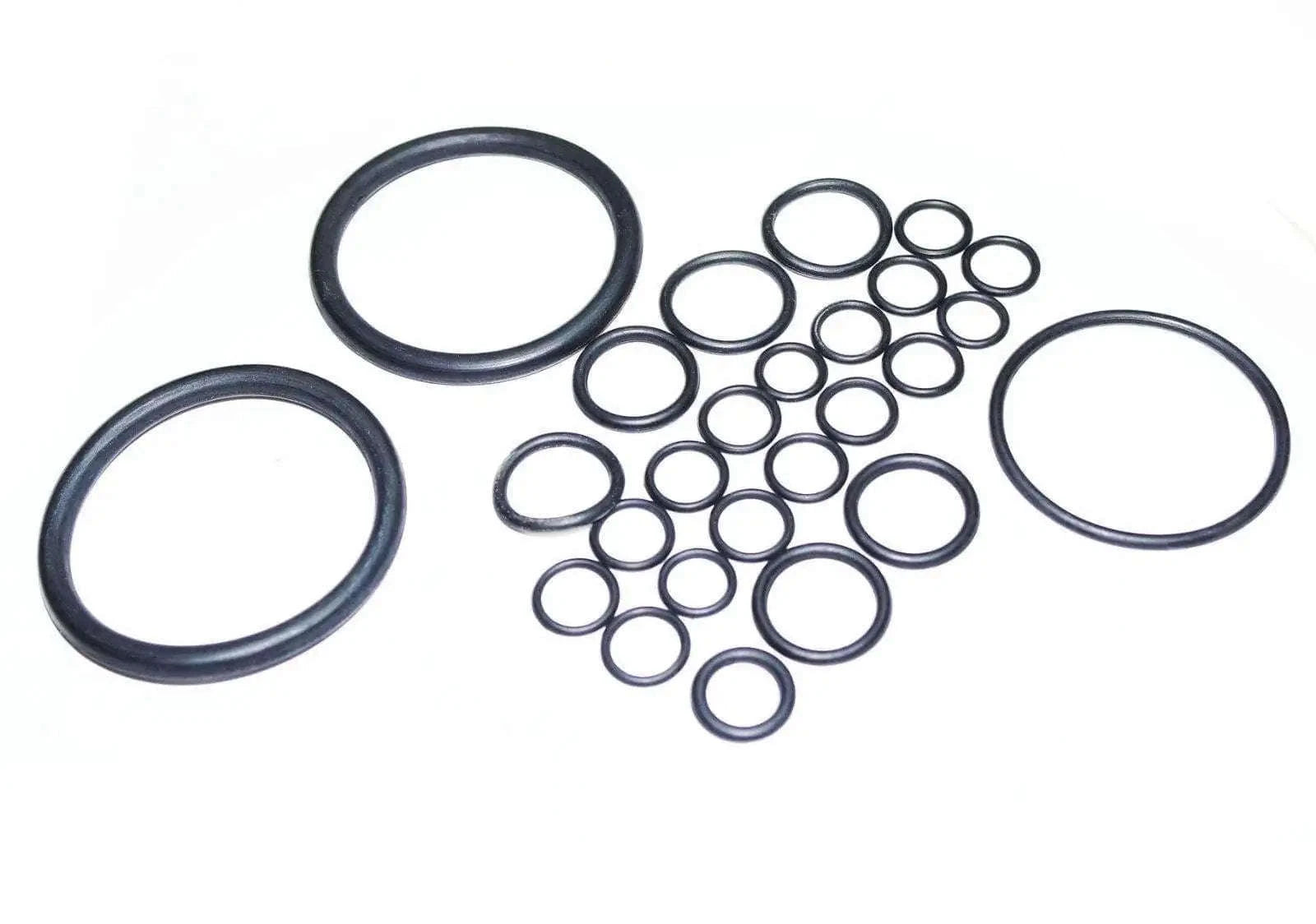 Hydraulic lift O-ring kit with multiple black rubber O-rings in mixed sizes