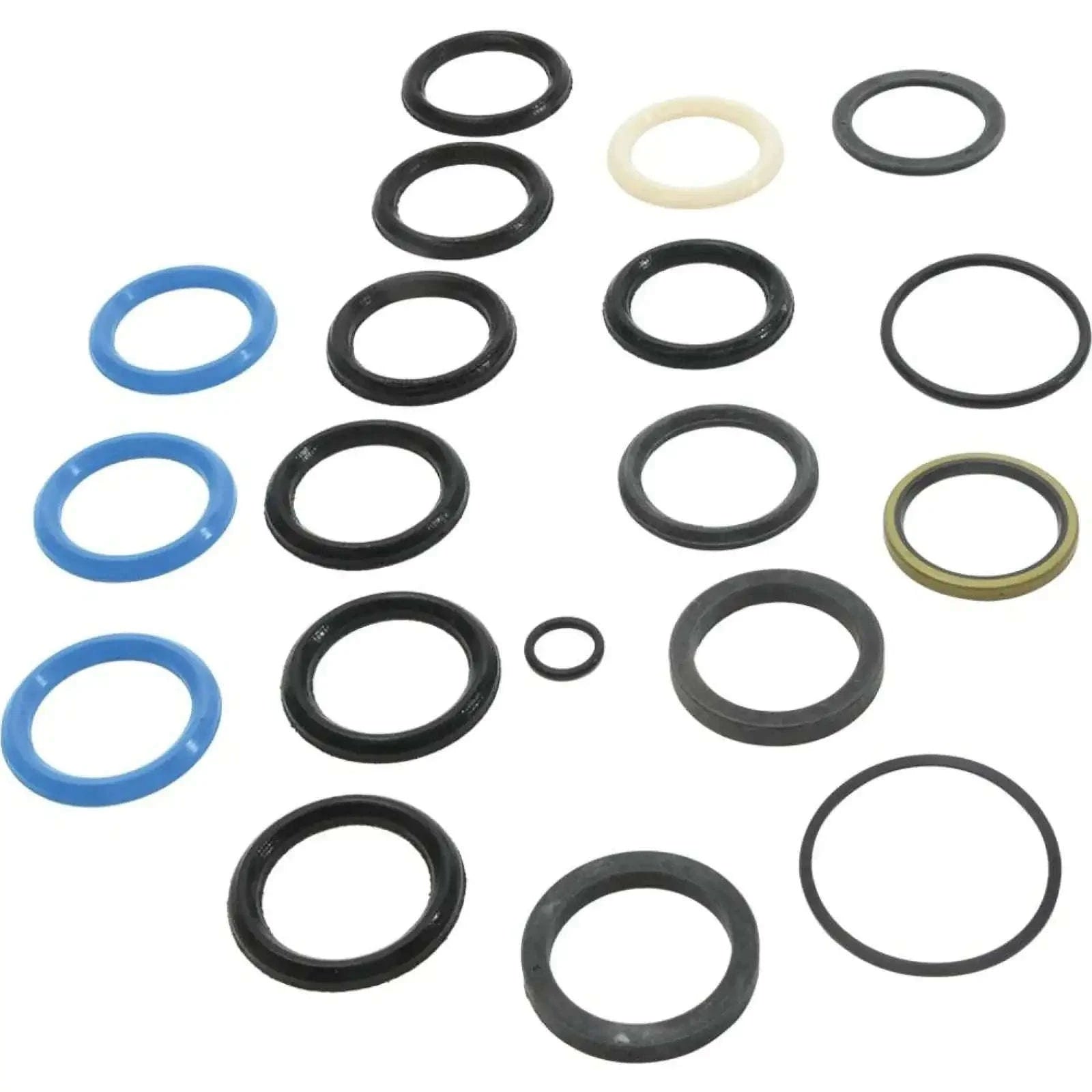 Hydraulic cylinder seal kit with assorted O-rings and gaskets in black, gray, and blue