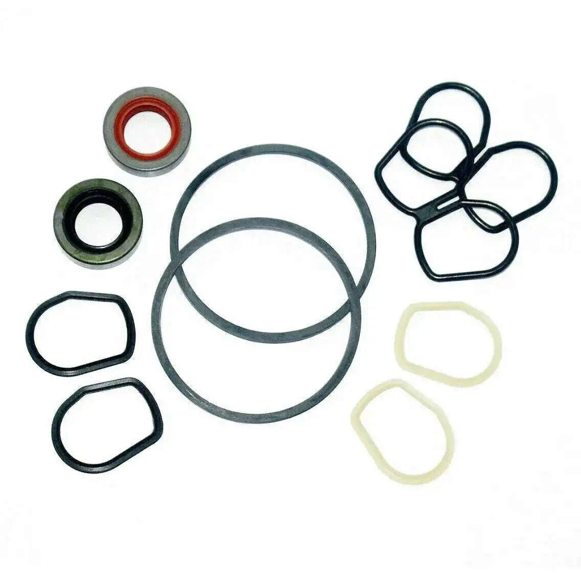 Hydraulic pump seal kit with assorted rubber gaskets, O-rings, and circular seals