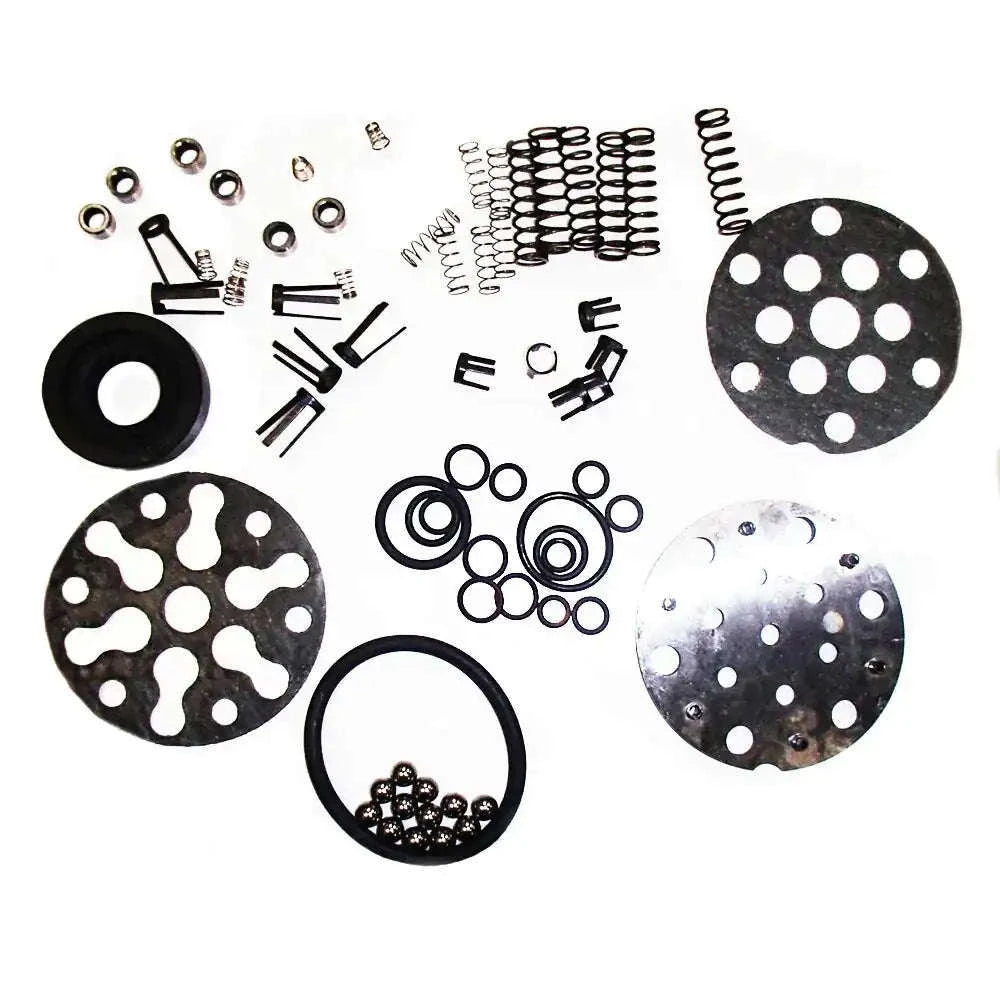 Hydraulic repair kit with metal springs, washers, seals, and O-ring assortment