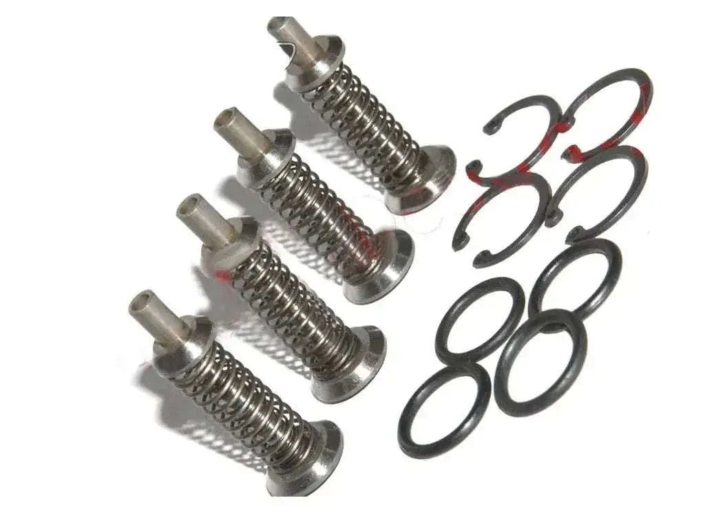 Hydraulic valve chamber repair kit with metal springs and black O-ring seals