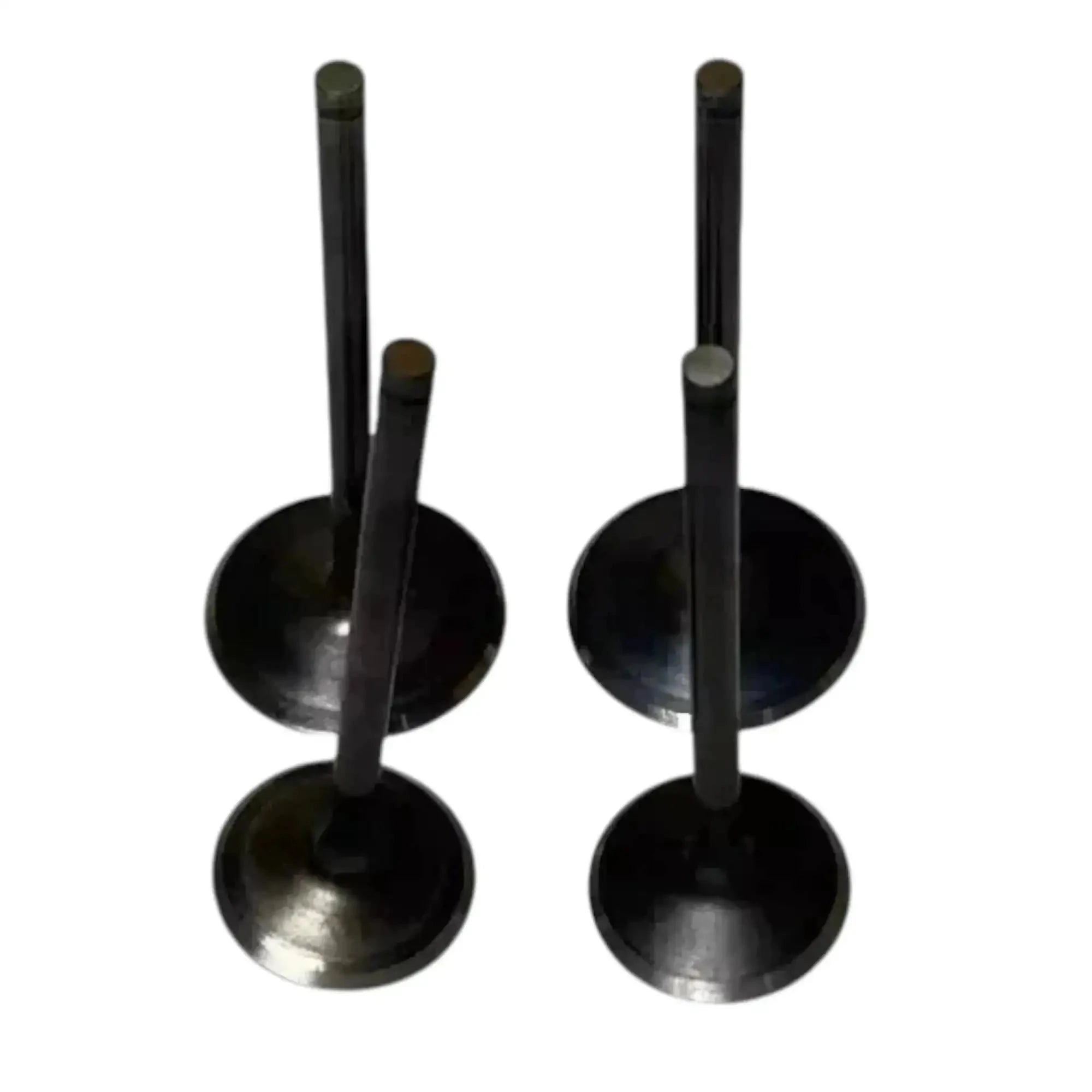 Intake and exhaust valve kit, two black valve discs with stems, metal construction