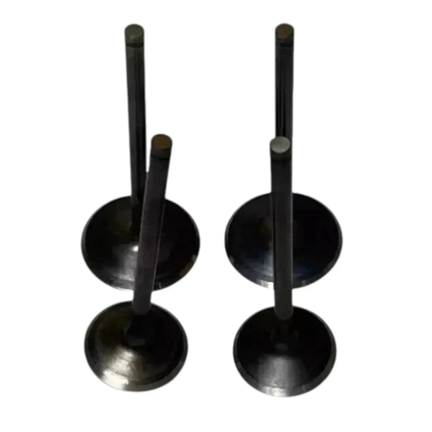 Intake and exhaust valve kit, two black valve discs with stems, metal construction