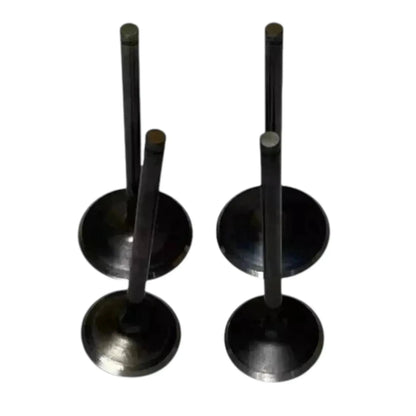 Intake and exhaust valve kit, two black valve discs with stems, metal construction