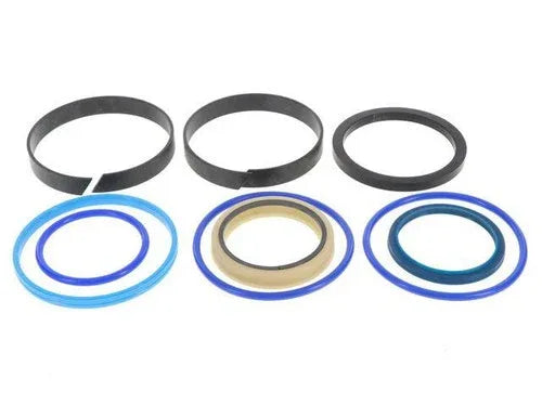 Seal kit with blue and dark gray O-ring seals, several rings