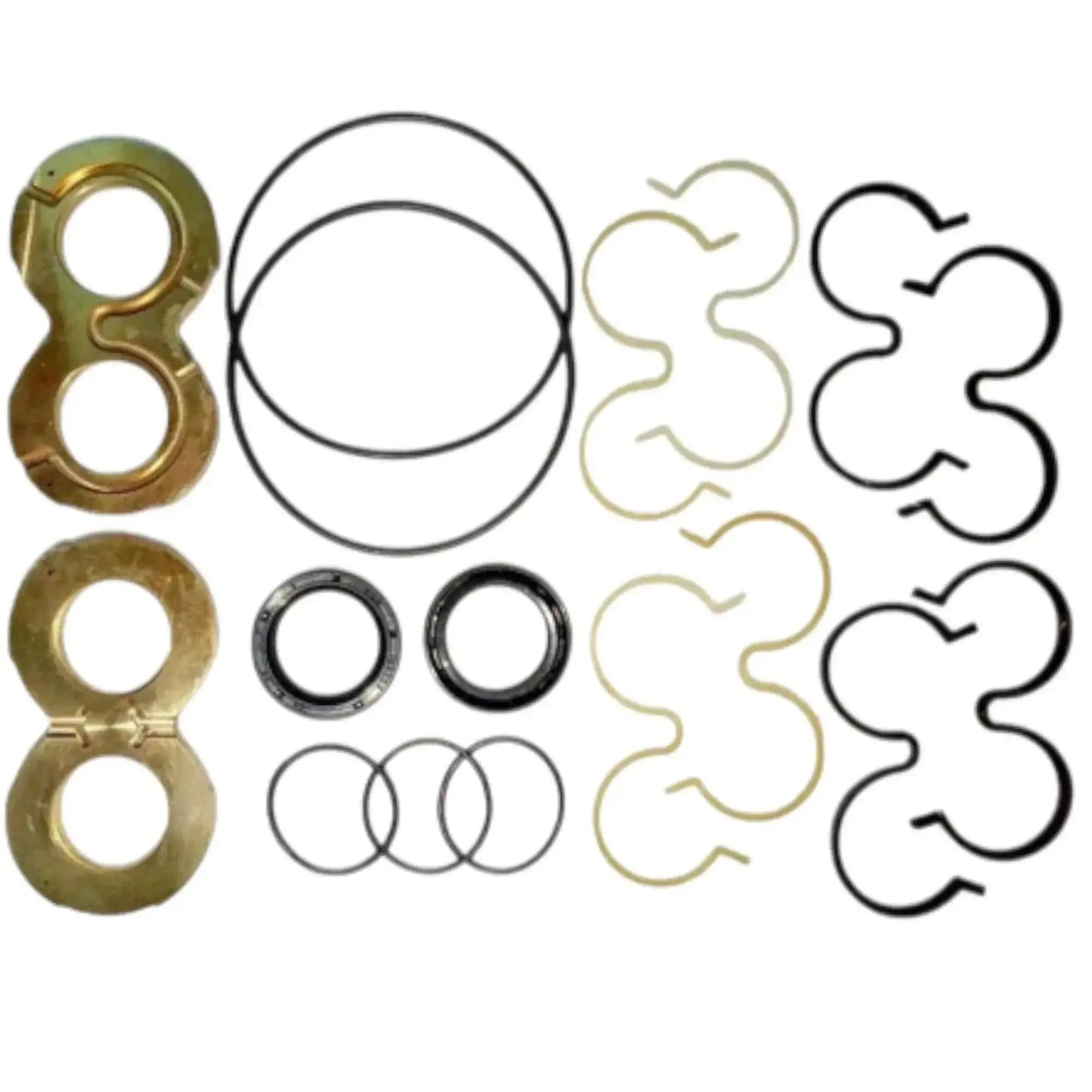 Hydraulic pump repair kit set with large metal ring seals, O-rings, and gaskets