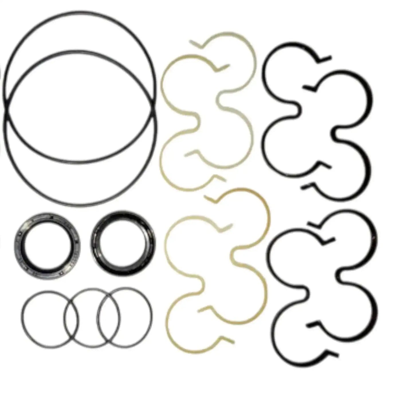 Hydraulic pump repair kit with large ring seals, O-rings, and gasket pieces