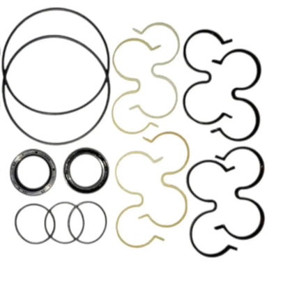 Hydraulic pump repair kit with large ring seals, O-rings, and gasket pieces