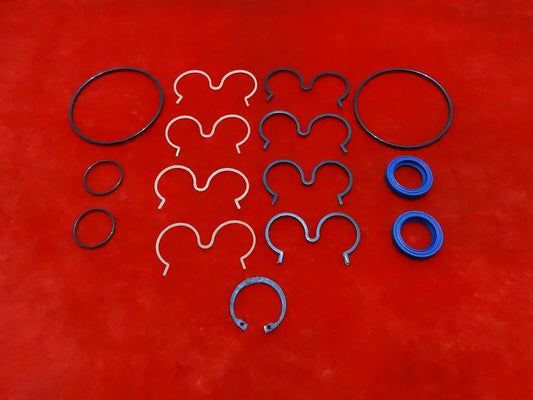Hydraulic pump repair seal kit with O-rings, blue seals, and gasket set