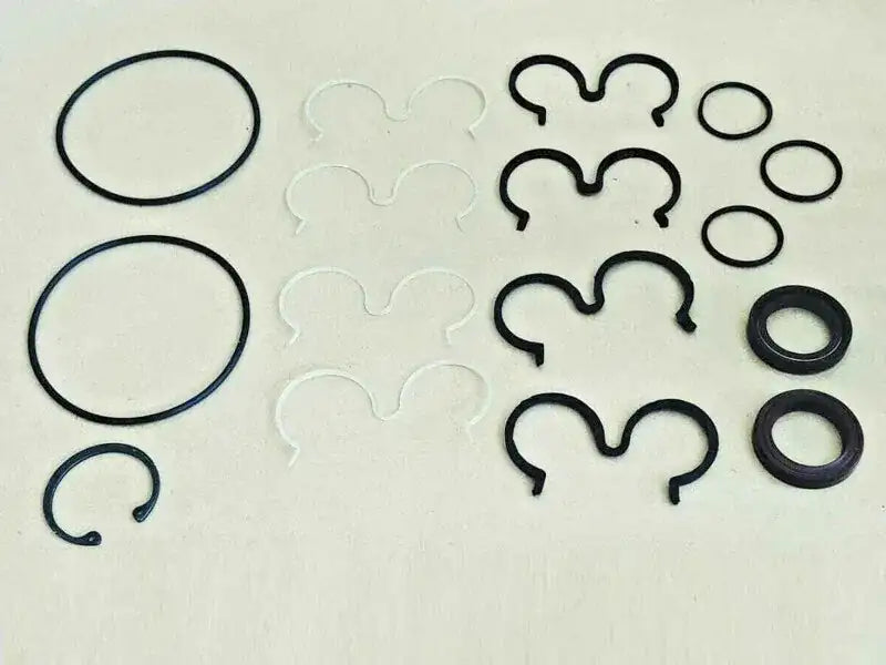 Hydraulic pump seal kit with black O-rings and molded seals, assorted pieces