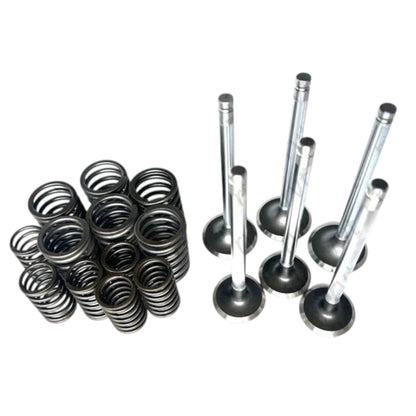Engine rebuild kit for Massey Ferguson model with valves and springs made of durable steel