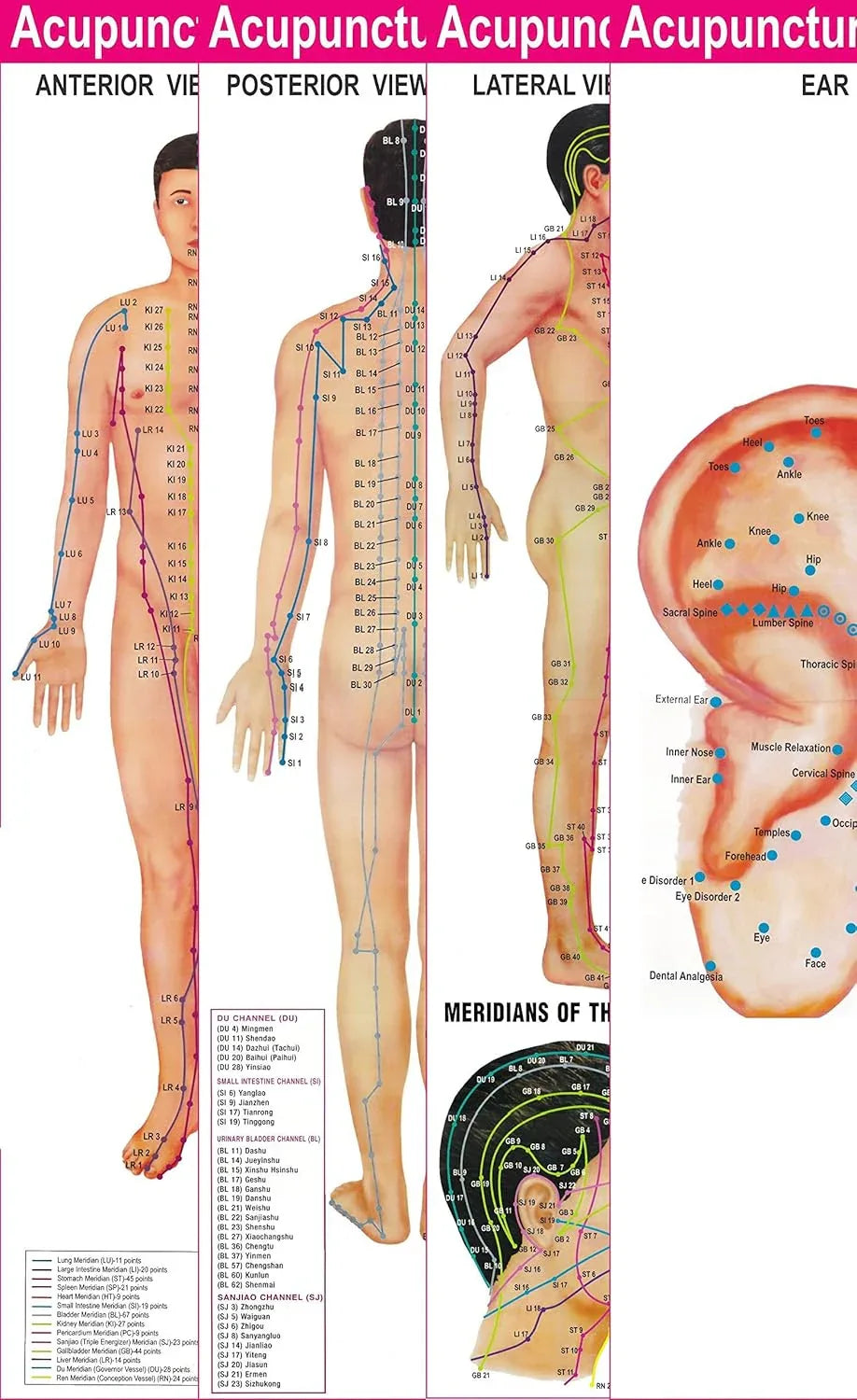 Set of 4 detailed Acupuncture point charts with free Sujok rings