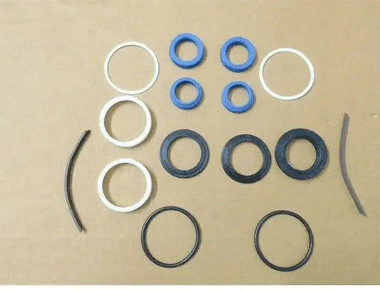 Power steering repair seal kit with assorted O-rings and seals, blue and dark rings