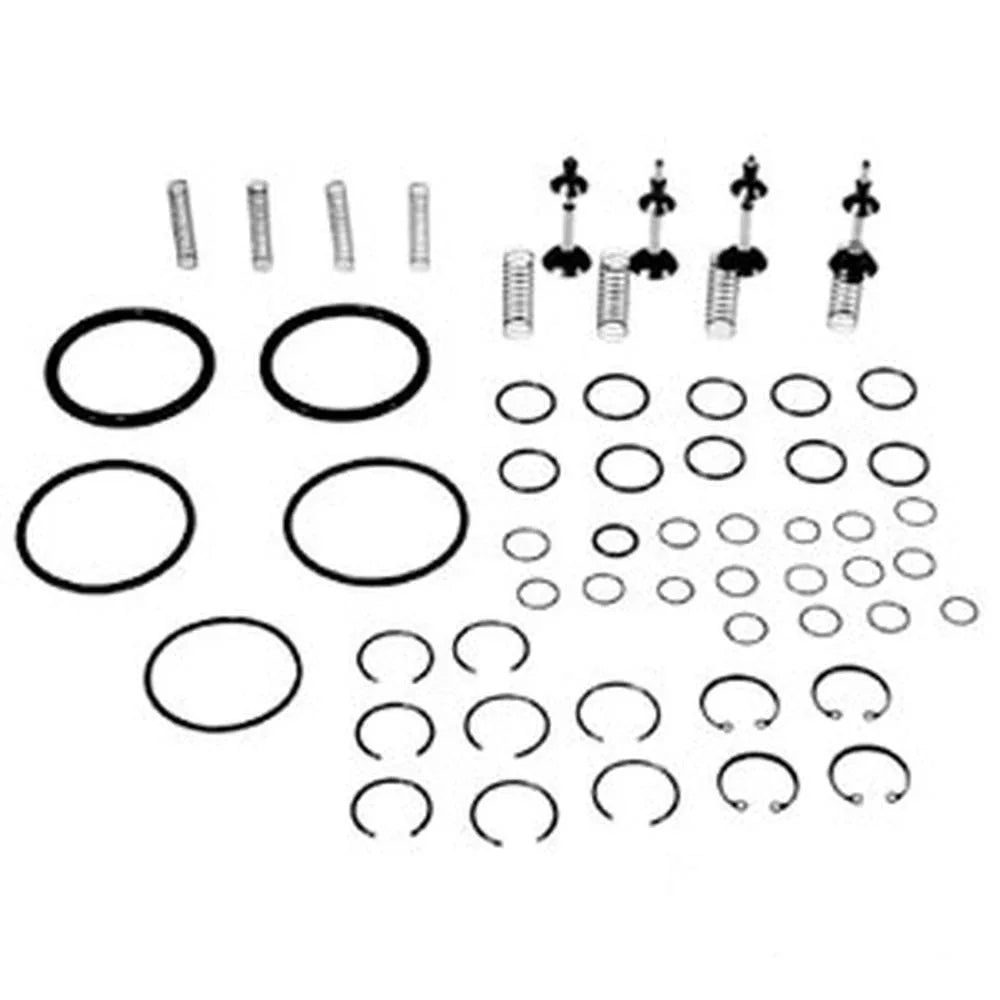 Chamber Valve Kit for hydraulic pump, includes various seals, springs, and O-rings for efficient operation
