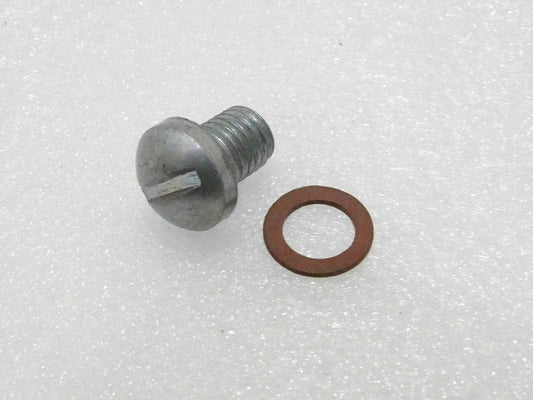 Royal Enfield chain case plug with washer for secure oil level maintenance