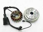Complete Flywheel Magnet Assembly Fits Royal Enfield GT Continental - StellerGear