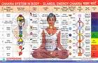 Chakra, Ayurvedic, Sujok, Acu Cun, Auricology Ear Charts (Set of 5) + 5 Rings - StellerGear