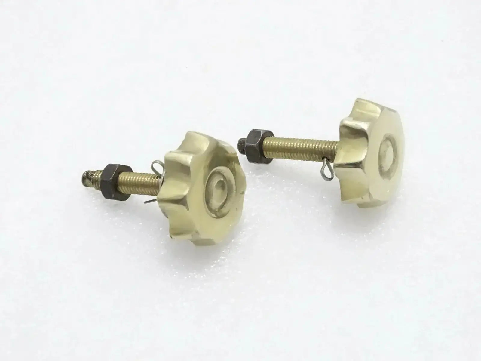 ROYAL ENFIELD BRASS TOOL BOX FLOWER BOLTS PAIR - StellerGear