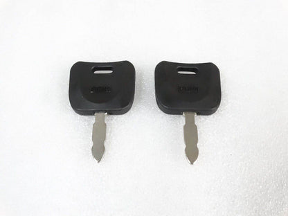 2 x Lucas Ford Holland 7000 7610 TW10 TW20 Tractor Switch Ignition Key - StellerGear