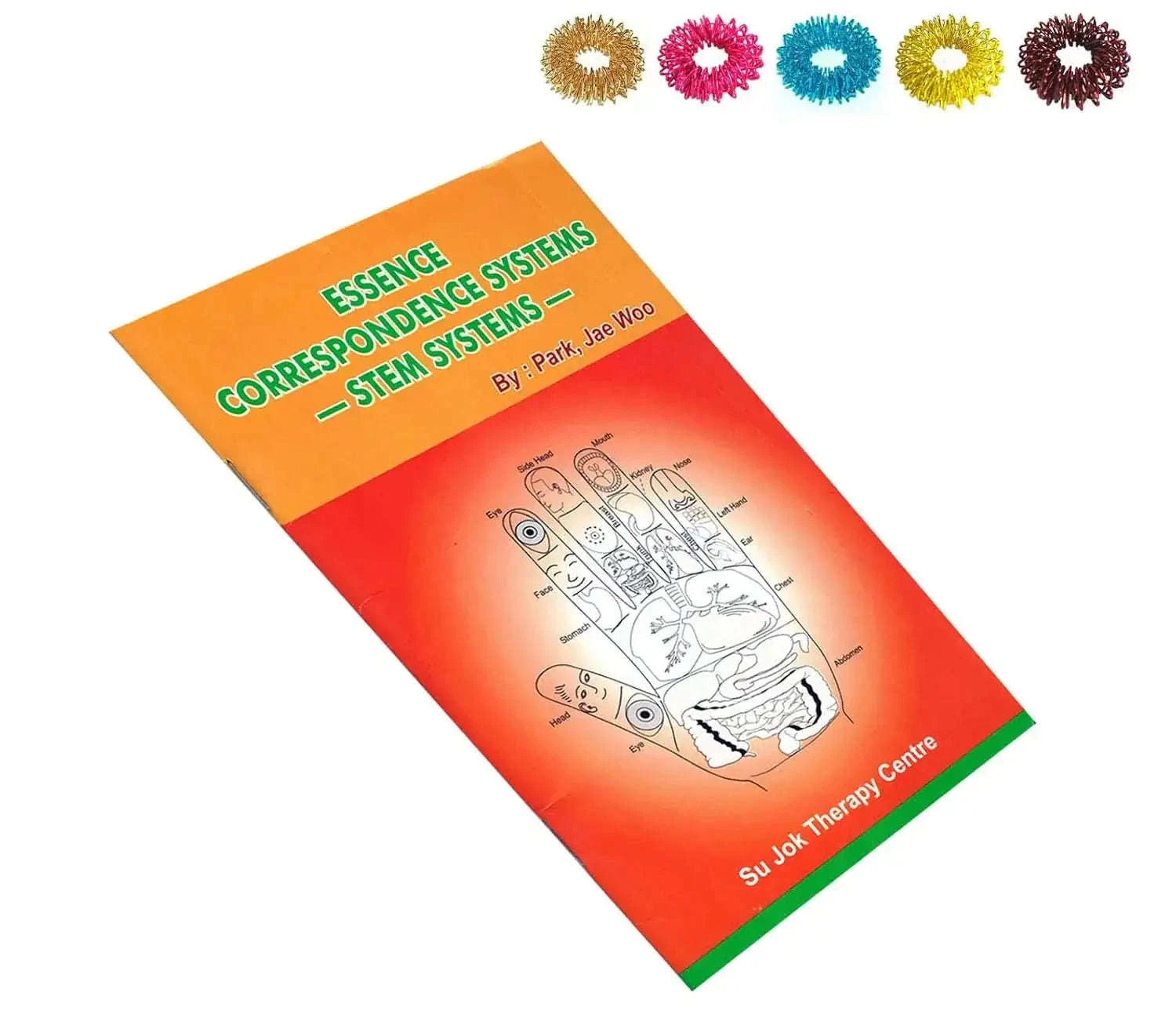 Essence Correspondence Systems Stem Systems by Prof. Park Jae Woo for automotive repairs