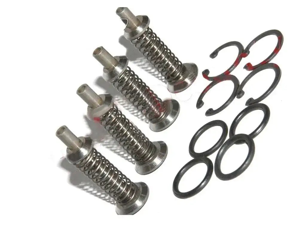 Hydraulic valve chamber repair kit with metal springs and black O-ring seals