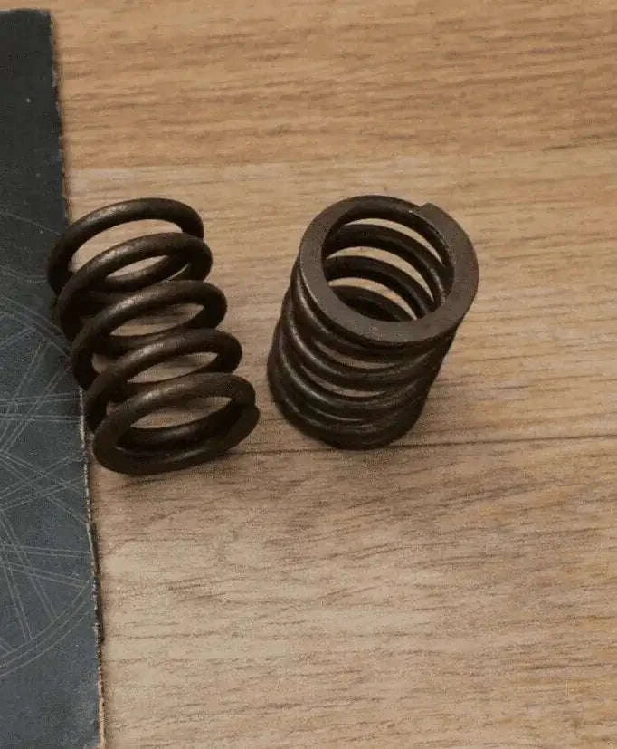 Valve Springs Set Genuine Part 507064 Fits Royal Enfield Bullet - StellerGear